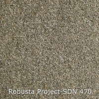 Robusta Project-SDN 470
